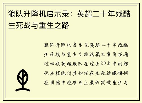 狼队升降机启示录：英超二十年残酷生死战与重生之路